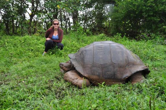 Junto com as tartarugas gigantes de Galápagos, na Ilha de Santa Cruz